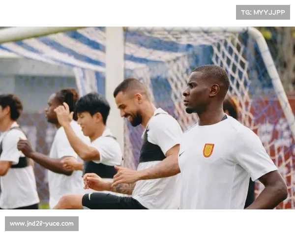 重庆铜梁龙引进恩加德乌阿马杜 前国脚中卫搭档法国后腰